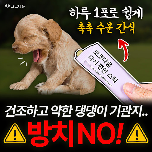 광고정보센터 INTERNET광고 :: 코코다움