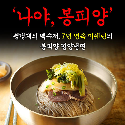 광고정보센터 INTERNET광고 :: 봉피양평양냉면