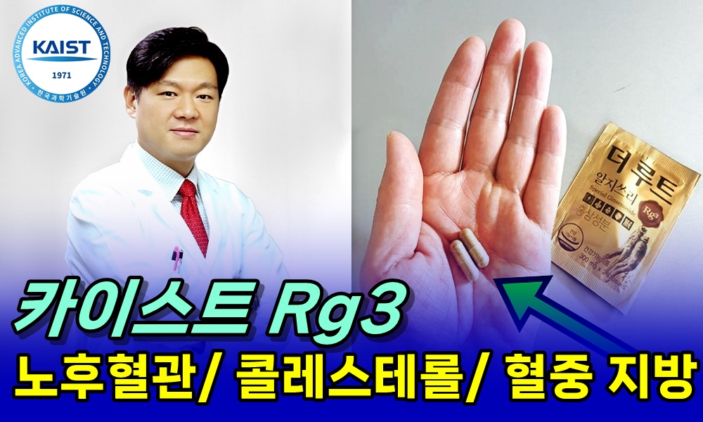 광고정보센터 INTERNET광고 :: 더루트알지쓰리
